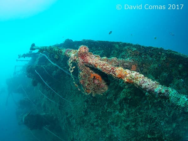 British Loyalty Wreck British Loyalty Wreck