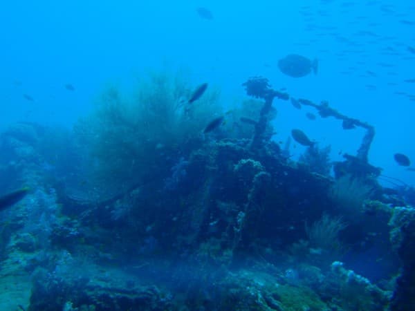 Fesdu Wreck Fesdu Wreck