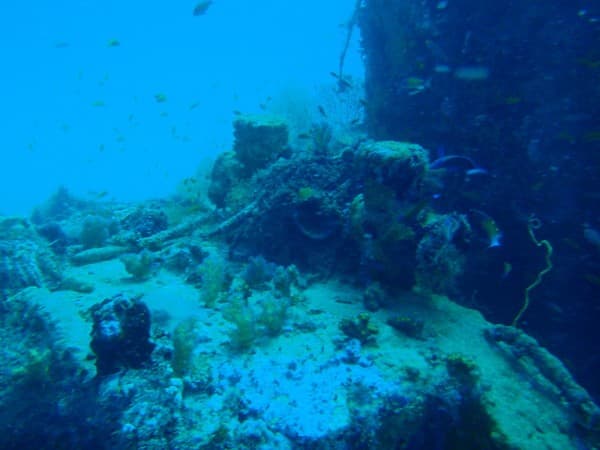 Fesdu Wreck Fesdu Wreck