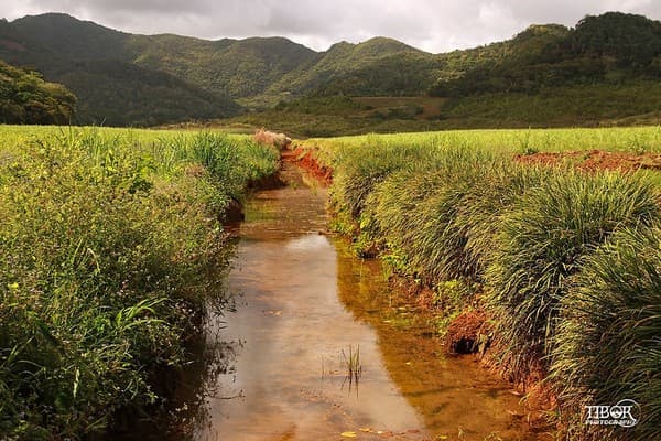 La Vallée de Ferney La Vallée de Ferney