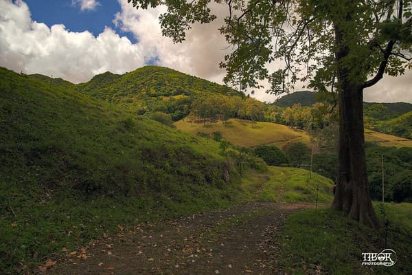 La Vallée de Ferney La Vallée de Ferney