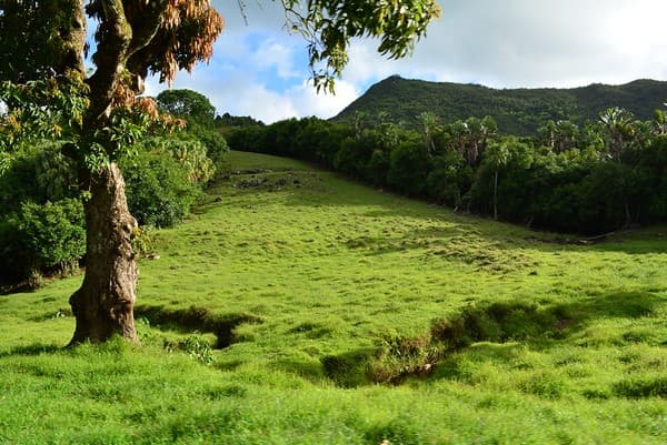 Mountain view Mountain view