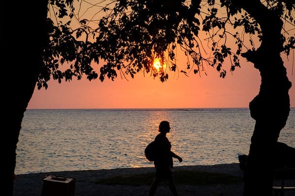 Black River Black River