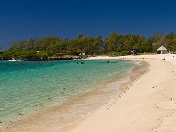 La Cambuse La Cambuse