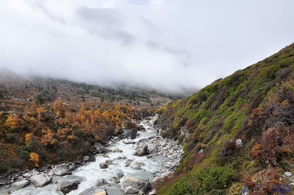 Langtang Valley Trek Photo 3