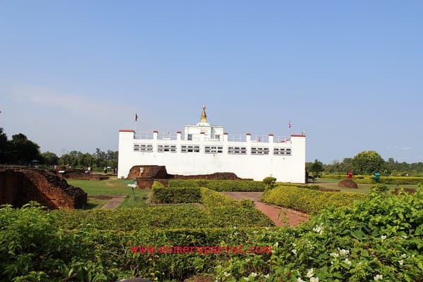Lumbini Sacred Garden & Monasteries Photo 3
