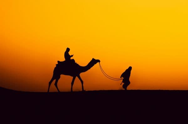 Rajasthan travel photo 5 Rajasthan travel photo 5