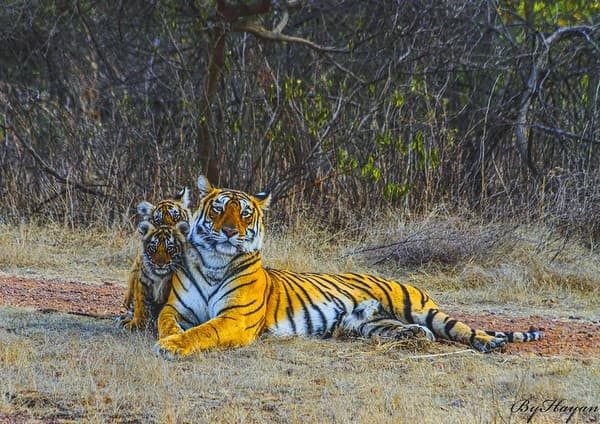 Sawai Madhopur Sawai Madhopur