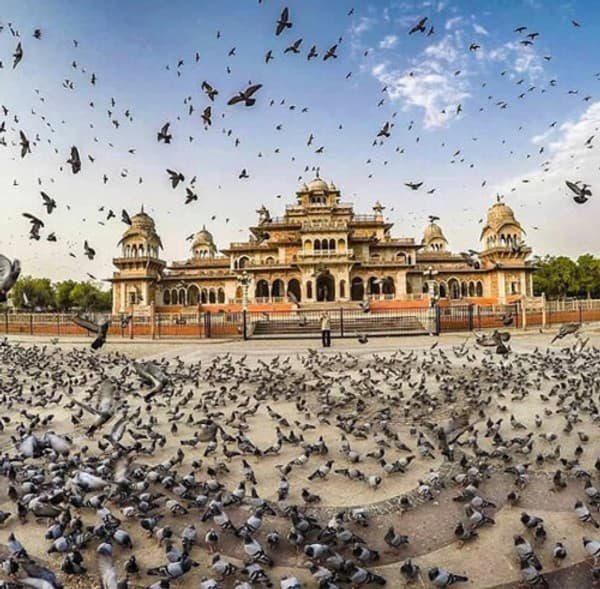 Albert Hall museum Jaipur,Rajasthan India Albert Hall museum Jaipur,Rajasthan India