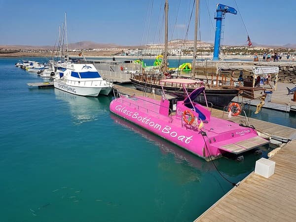 Glass‑bottom boat or kayaking in Port Launay Marine Park Glass‑bottom boat or kayaking in Port Launay Marine Park