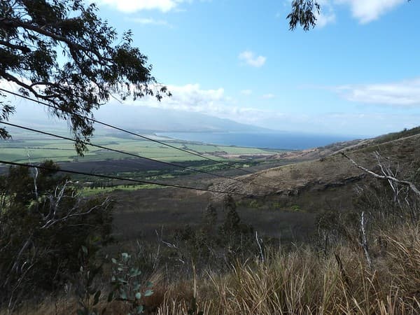 Ziplining at Constance Ephelia Photo 3