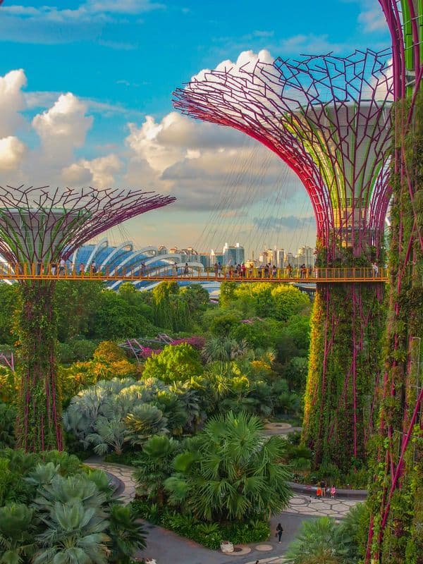 Singapore travel photo 1 Singapore travel photo 1