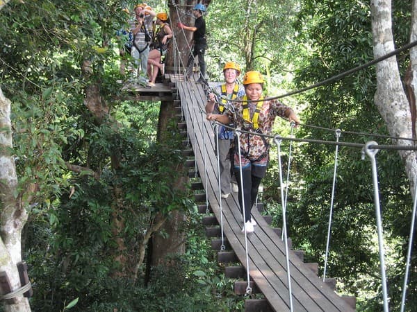 Rainforest zipline adventure (Flight of the Gibbon) Rainforest zipline adventure (Flight of the Gibbon)