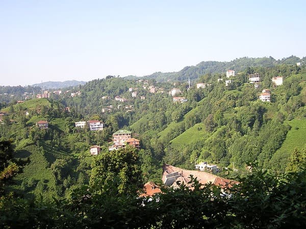 Rize tea plantations & Ayder Plateau Photo 3