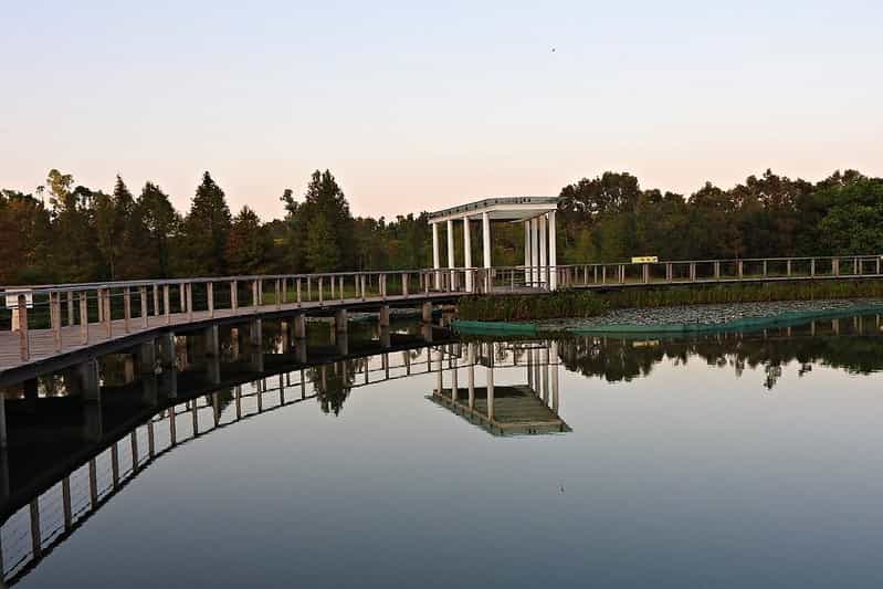 Wild Hong Kong Getaway: Wetland Park, Mai Po & Birdwatching (4 Nights) Wild Hong Kong Getaway: Wetland Park, Mai Po & Birdwatching (4 Nights)