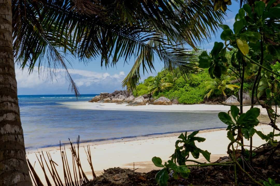 Seychelles Family Adventure: Beaches, Wildlife & Water Sports - 7 Nights Seychelles Family Adventure: Beaches, Wildlife & Water Sports - 7 Nights