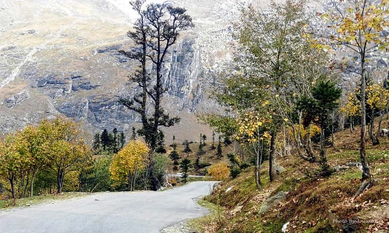 Beat the Heat Manali Retreat 6 Nights: Valley Walks & Local Cuisine Beat the Heat Manali Retreat 6 Nights: Valley Walks & Local Cuisine