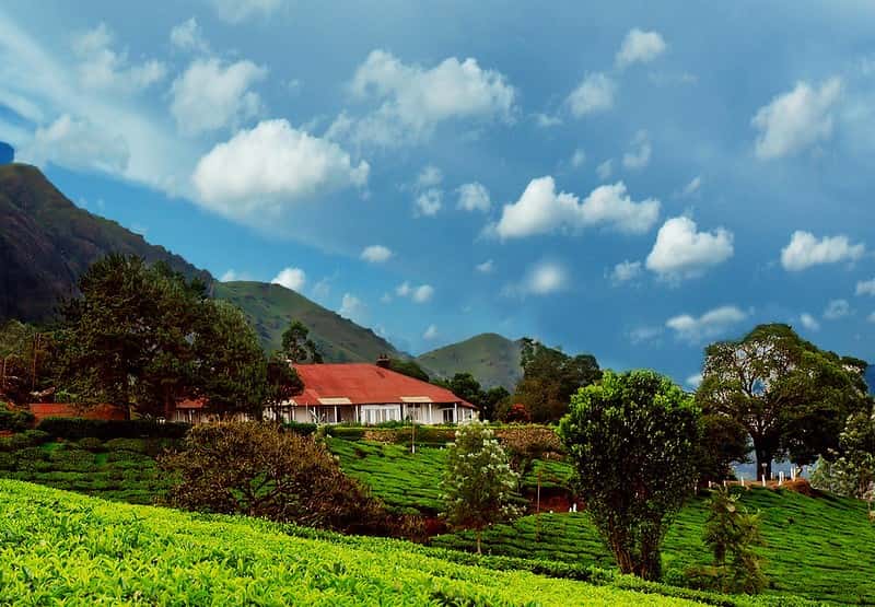 Munnar Tea Bungalow Stay: Sunrise Viewpoints & Local Market Walks Munnar Tea Bungalow Stay: Sunrise Viewpoints & Local Market Walks