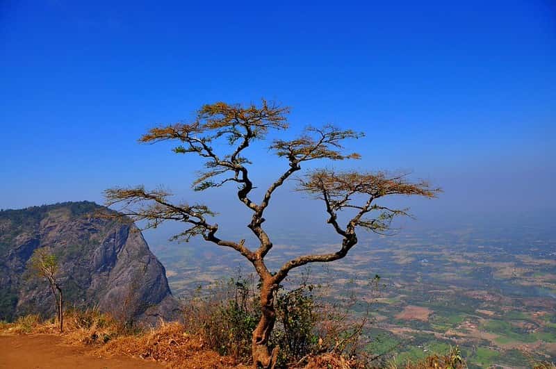 Kerala Family Nature Camp: Silent Valley & Trekking for Kids Kerala Family Nature Camp: Silent Valley & Trekking for Kids