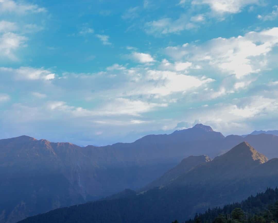 Chopta-Tungnath Trek Intro: Wildflower Meadows & Snowline Views Chopta-Tungnath Trek Intro: Wildflower Meadows & Snowline Views