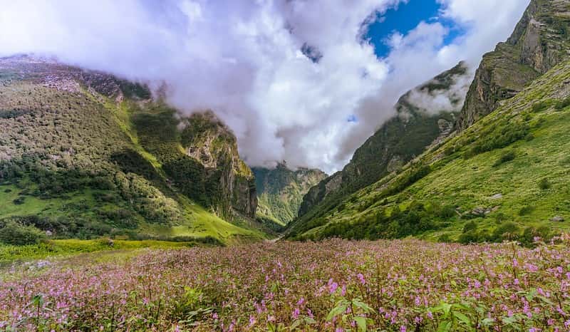 Valley of Flowers Immersion: Trek, Valley Views & Hemkund Pilgrimage Valley of Flowers Immersion: Trek, Valley Views & Hemkund Pilgrimage