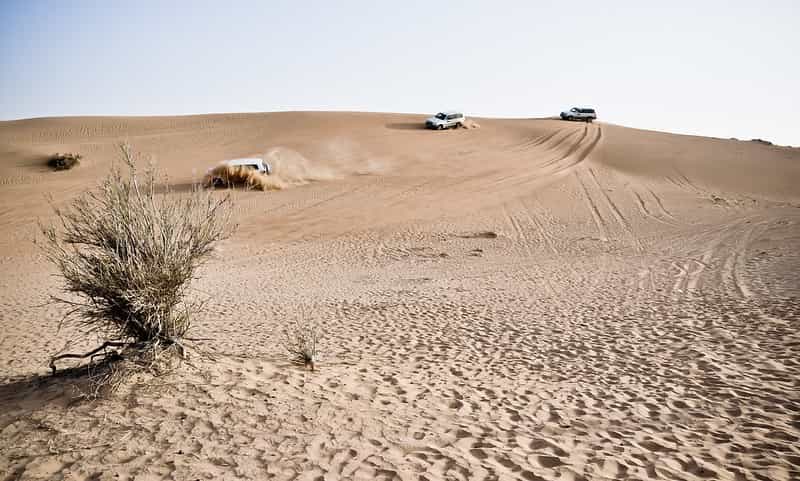 Adventure Gujarat 4-Night: Kayaking, Surf & Dune Bashing Adventure Gujarat 4-Night: Kayaking, Surf & Dune Bashing