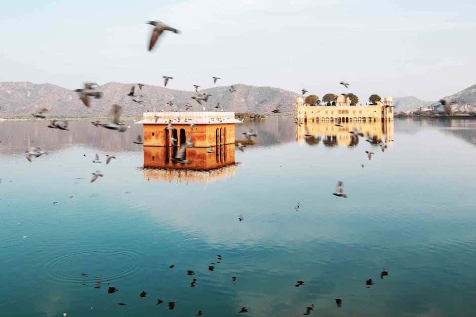 Rajasthan Wildlife & Heritage: Keoladeo Bird Sanctuary & Amber Fort Rajasthan Wildlife & Heritage: Keoladeo Bird Sanctuary & Amber Fort