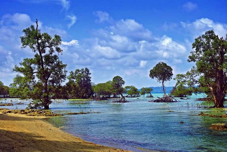 Andaman Explorer: 5-Night Havelock, Neil & Port Blair Tour Andaman Explorer: 5-Night Havelock, Neil & Port Blair Tour