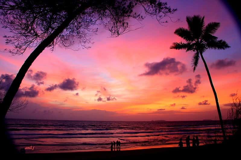 Goa Offbeat 5N Eco Tour: Mangroves, Wetlands & Conservation Walks Goa Offbeat 5N Eco Tour: Mangroves, Wetlands & Conservation Walks