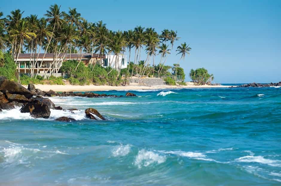 Luxury Beach and Whale Watching: Mirissa 5-Night Sri Lanka Escape Luxury Beach and Whale Watching: Mirissa 5-Night Sri Lanka Escape