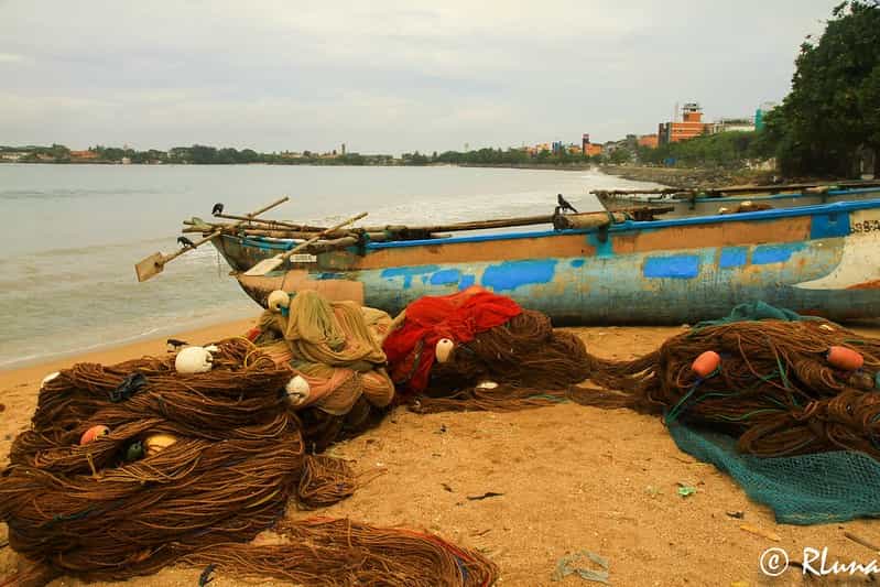 Classic Sri Lanka 7-Night Tour: Colombo to Kandy, Nuwara Eliya & Galle Classic Sri Lanka 7-Night Tour: Colombo to Kandy, Nuwara Eliya & Galle