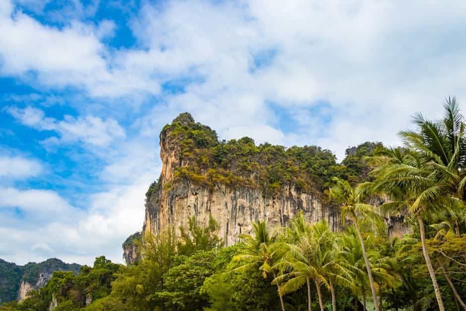 Adventure & Rock Climbing in Railay: Beginner to Pro Courses Adventure & Rock Climbing in Railay: Beginner to Pro Courses