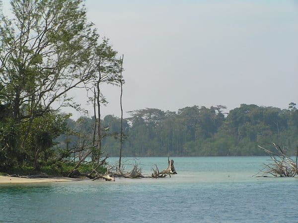 Inside Mahatma Gandhi Marine National Park, Wandoor, Andamans Inside Mahatma Gandhi Marine National Park, Wandoor, Andamans