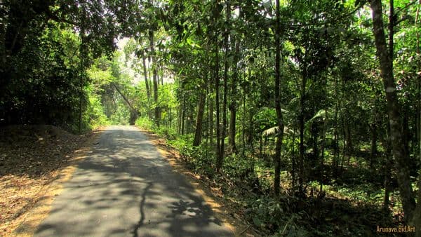 Mount Harriet National Park, Andaman, India Mount Harriet National Park, Andaman, India