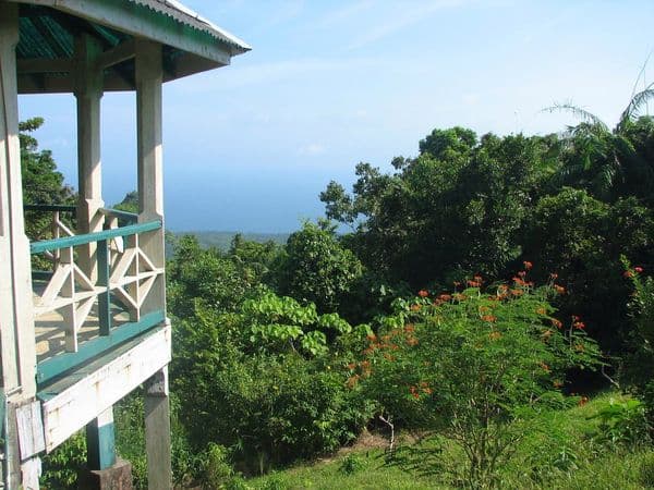 View from Mount Harriet National Park View from Mount Harriet National Park