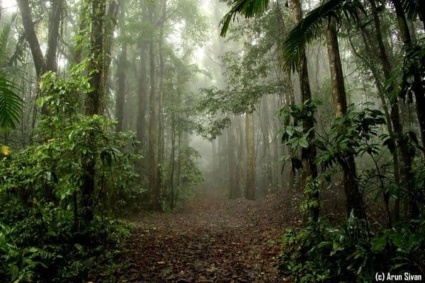 Mount Harriet National Park Mount Harriet National Park