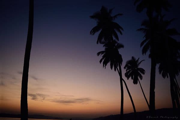 @ Ross Island, Andaman @ Ross Island, Andaman