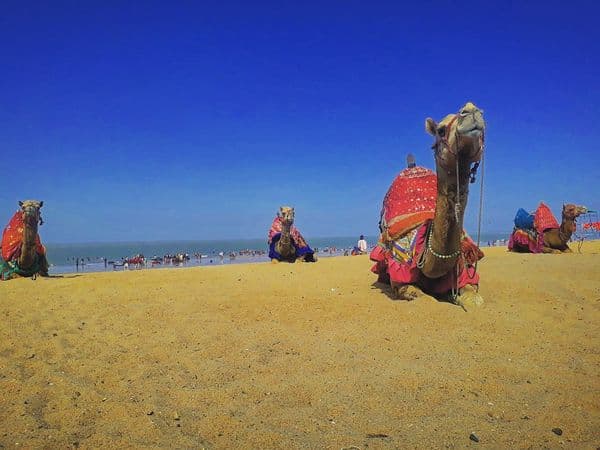 Mandvi beach Mandvi beach