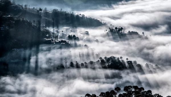 Casting Mile Long Shadows at Barog, Himachal Pradesh Casting Mile Long Shadows at Barog, Himachal Pradesh