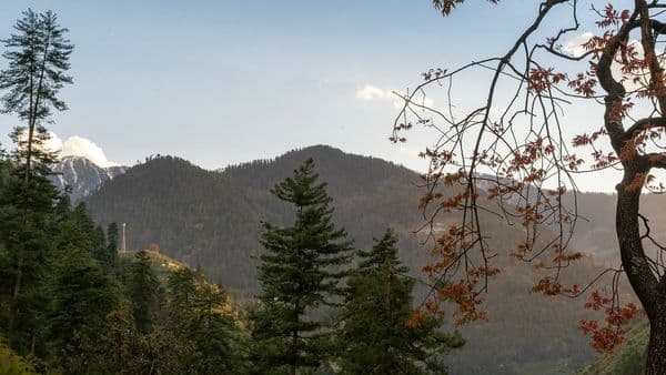 Dusk falls at the Great Himalayan National Park Dusk falls at the Great Himalayan National Park