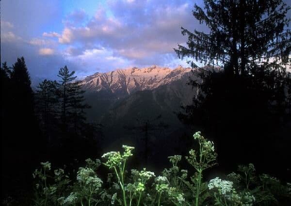 great-himalayan-national-park-1 great-himalayan-national-park-1