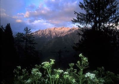 Great Himalayan National Park Great Himalayan National Park