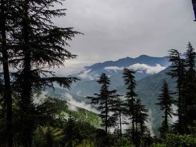 Janjehli Valley Janjehli Valley