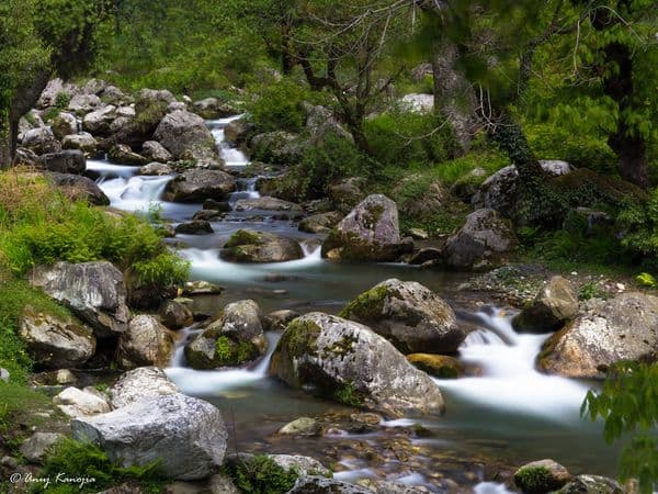 A Scene at Himachal, Jibhi A Scene at Himachal, Jibhi