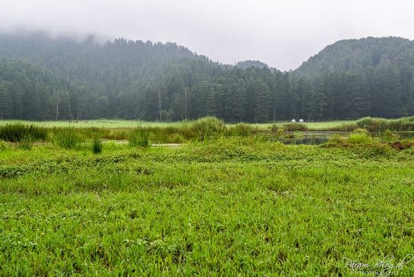 Khajjiar Wetland (PB1_1410-HDR) Khajjiar Wetland (PB1_1410-HDR)