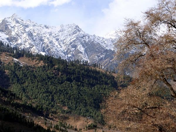 Manali Manali