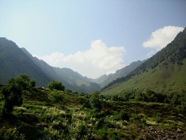 Betaab Valley, Kashmir. Betaab Valley, Kashmir.