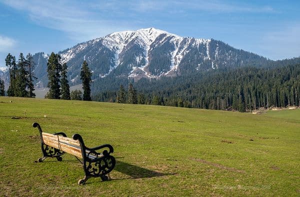 Lush green meadows of Doodhpathri Lush green meadows of Doodhpathri
