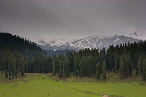 Kashmir - DoodhPathri Kashmir - DoodhPathri