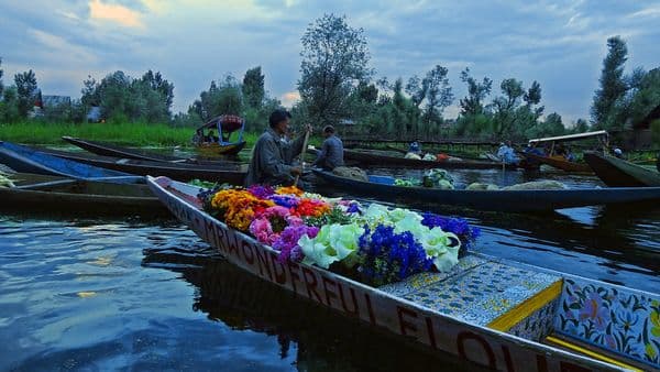 Floating garden ! Floating garden !